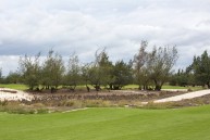 FLC Quang Binh Beach & Golf Resort, Walddünen