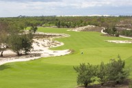 FLC Quang Binh Beach & Golf Resort, Walddünen