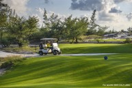 FLC Quang Binh Beach & Golf Resort, Walddünen