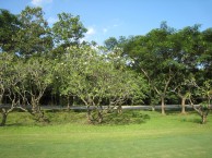 Navatanee Golfplatz