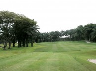 Saujana Golf & Country Club, Palmenplatz