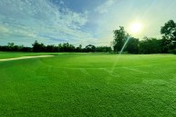 Vintage Golf Club