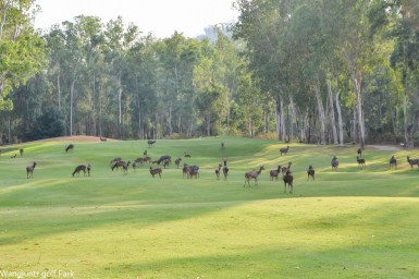 Wangjuntr Golf & Naturpark, Talplatz