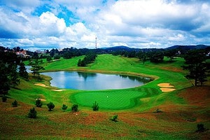 golfasian