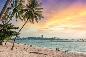 ein Strand mit Palmen und einem Gewässer
