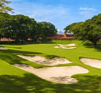 Mimose-Plus-Golfplatz-Rutsche