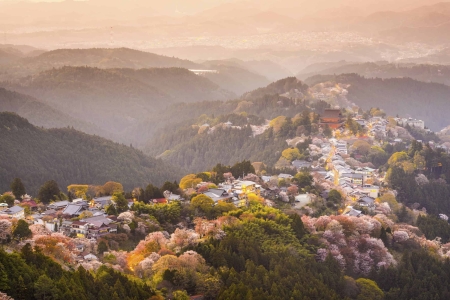 Yoshinoyama, Nara, Japan: Blick auf die Stadt und die Kirschbäume im Frühling.