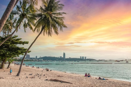 ein Strand mit Palmen und einem Gewässer